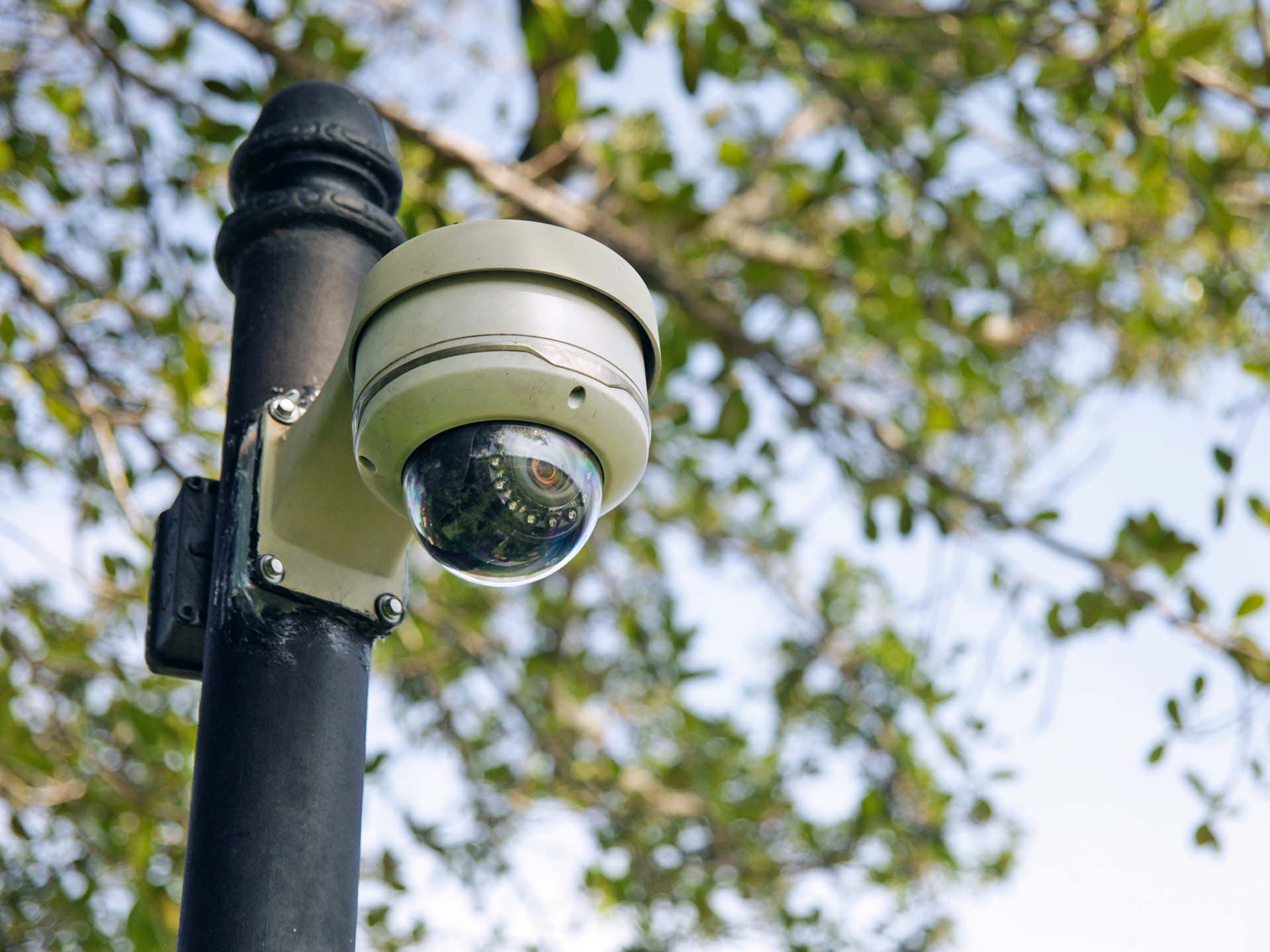 Enfocado en su tranquilidad