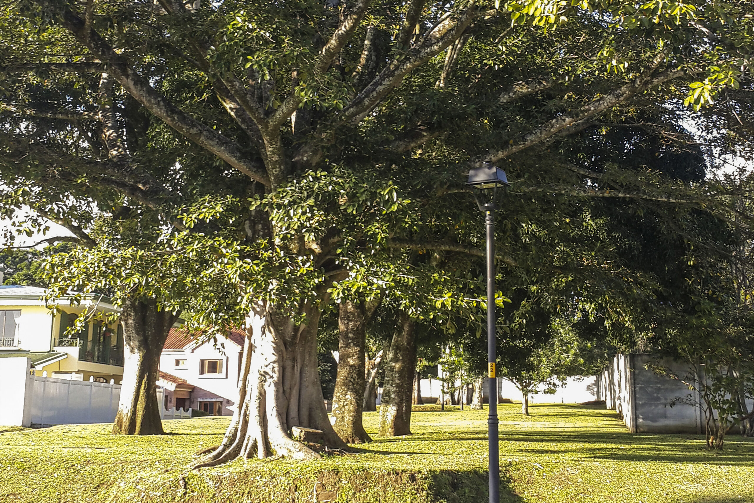 Zona Verde Central Montenegro Condominio Alajuela Centro