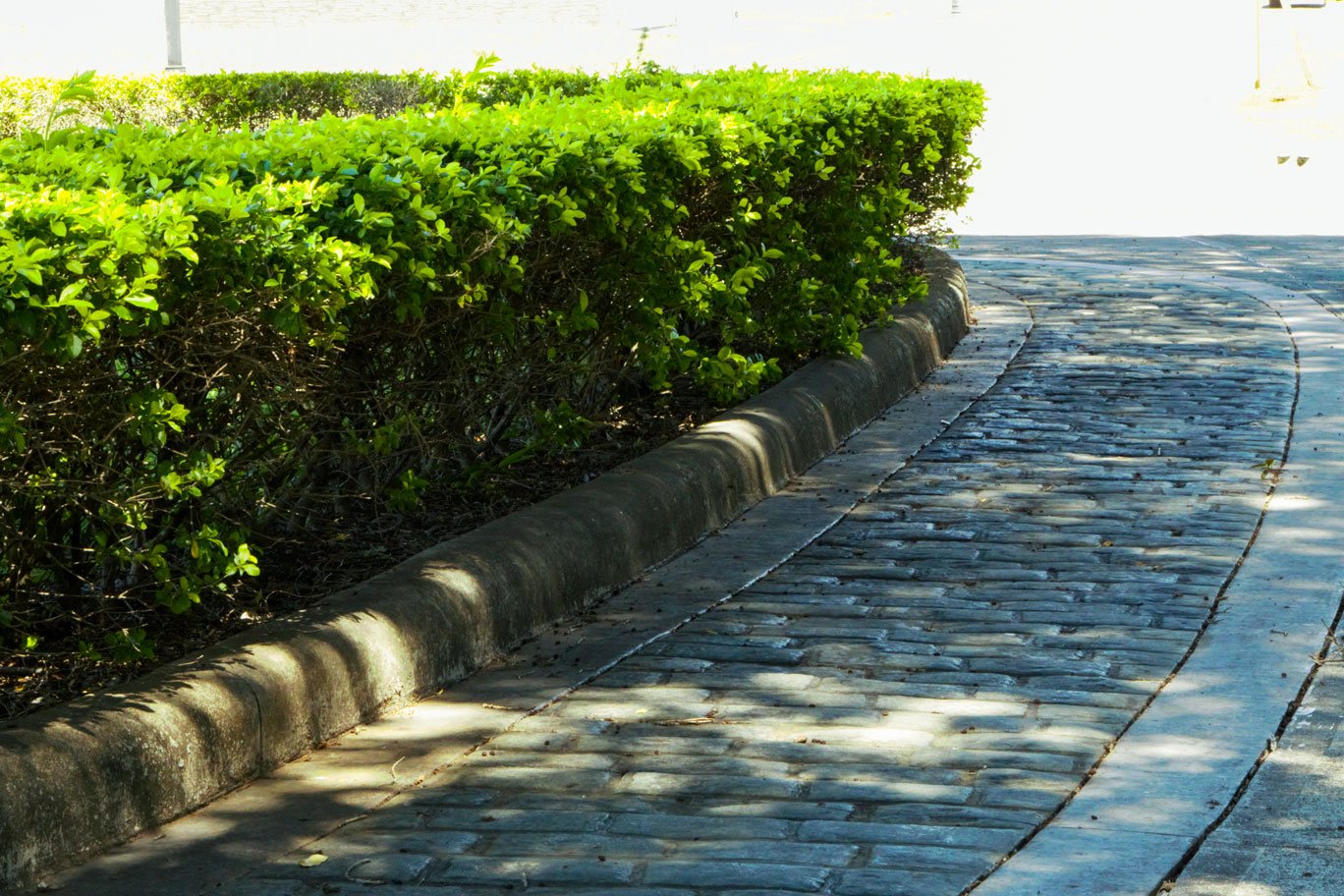 Detalle de impresión y coloración de jardineras - Montenegro Condominio