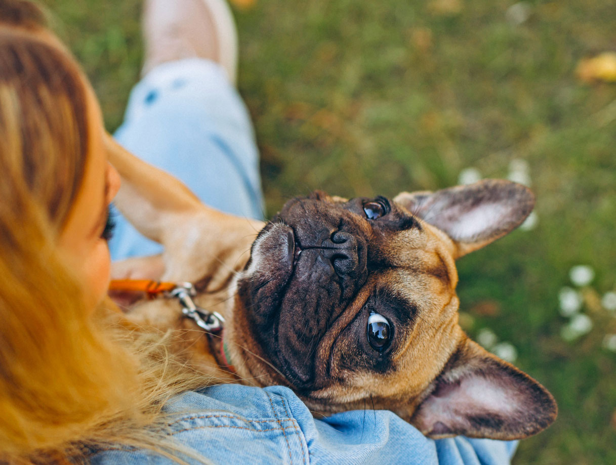 Pet Friendly Montenegro Condominio